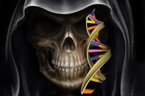 揭基因与死亡关系