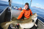 挪威捕获最大鳕鱼重47公斤