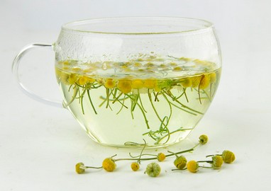 甘菊茶