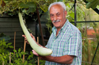 英國一老漢種出1.8米長巨型瓠瓜