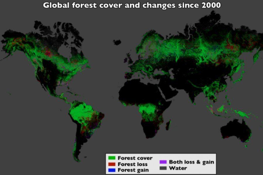 研究人员利用陆地卫星图像计算出12年前森林消失面积.