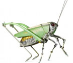 法藝術家金屬垃圾造昆虫雕塑