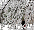 加拿大遭冰凍災害襲擊
