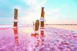 锡瓦什湖：多彩“腐蚀之海”