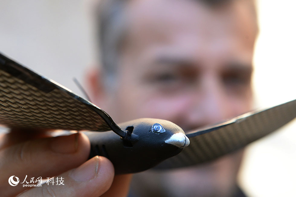 法国男子发明仿声鸟玩具 可用智能手机操作