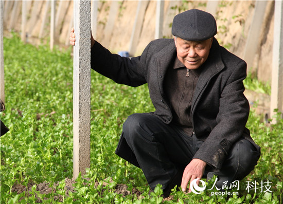 河北李先:研究大棚蔬菜技术,带领乡亲脱贫致富