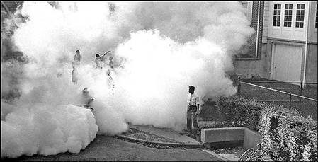 1950年美国在居民区喷洒滴滴涕