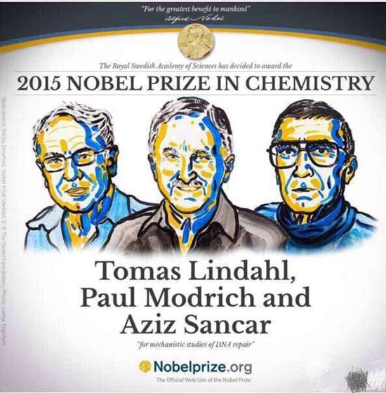 2015年“诺贝尔化学奖”获奖名单公布 三人获奖