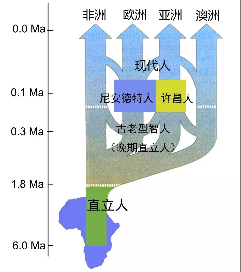 许昌人口2017_合肥又爆一条 最美高铁 2小时飙郑州,沿途宝藏美食美景藏不住了