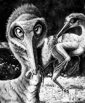 阿根廷鹫龙再次证明恐龙和鸟同源