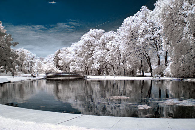 组图:猫眼睛里的世界 红外线摄影 (7)
