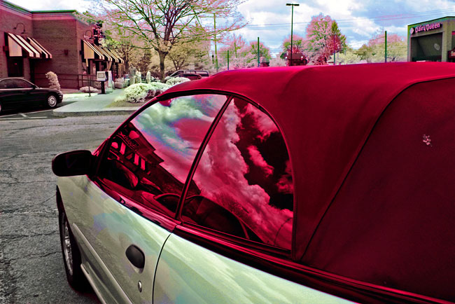 组图:猫眼睛里的世界 红外线摄影