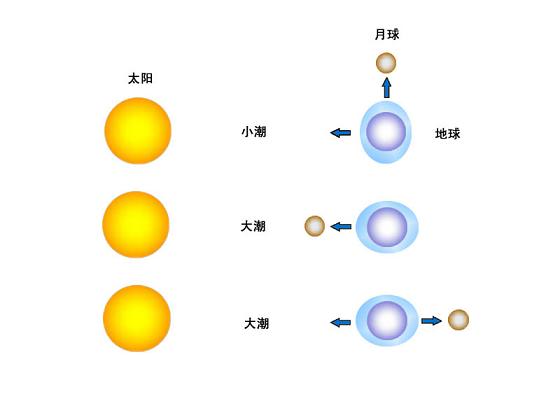 太阴潮和太阳潮(图)