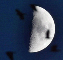 人类探月第一阶段:美苏争霸(20世纪50年代-20