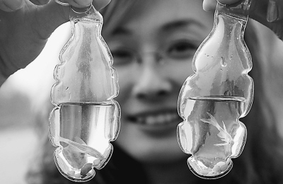 懒汉鱼:不用喂养可活半年