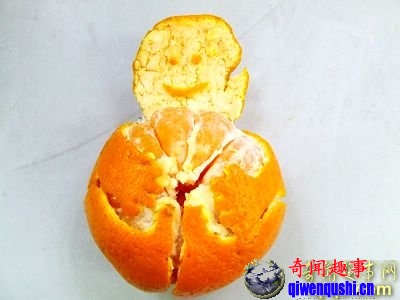 论坛:超可爱的橘子宝宝