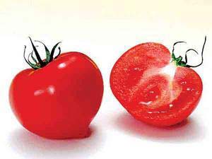 生吃西红柿会中毒?