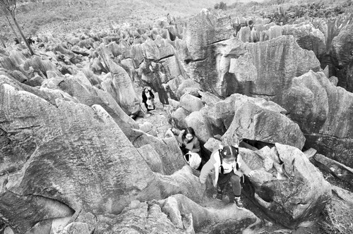 王世杰:加强西南喀斯特地区生态建设