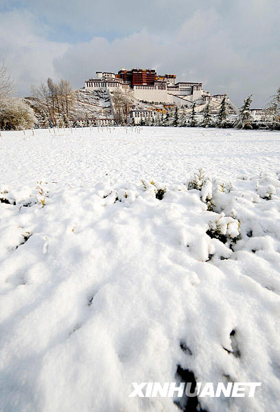 西藏拉萨布达拉宫雪景(3月20日摄).拉萨19日夜降下一场瑞雪.