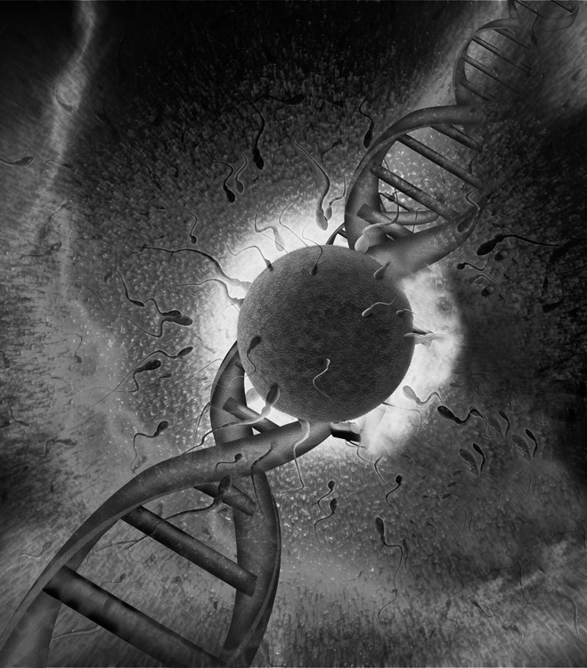 一把钥匙开一把锁 精子中独特DNA签名影响生育