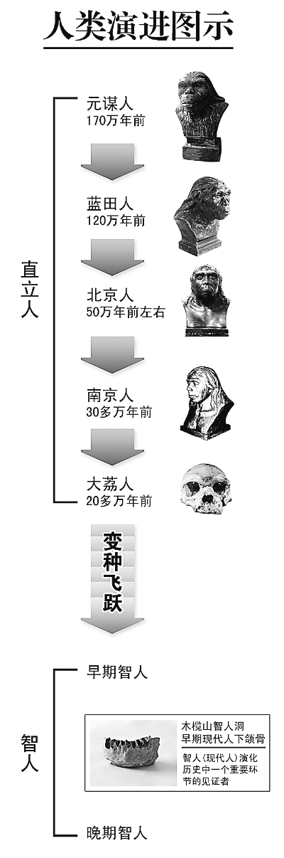  Ի