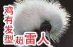 ����֣�2012�������ĩ��