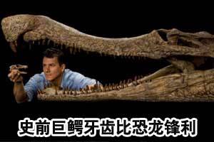 史前巨鳄化石 牙齿超锋利恐龙也难敌